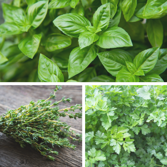 花咲く和紙しろ（ハーブミックス）