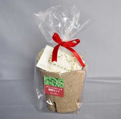 グリーンスティック栽培キット