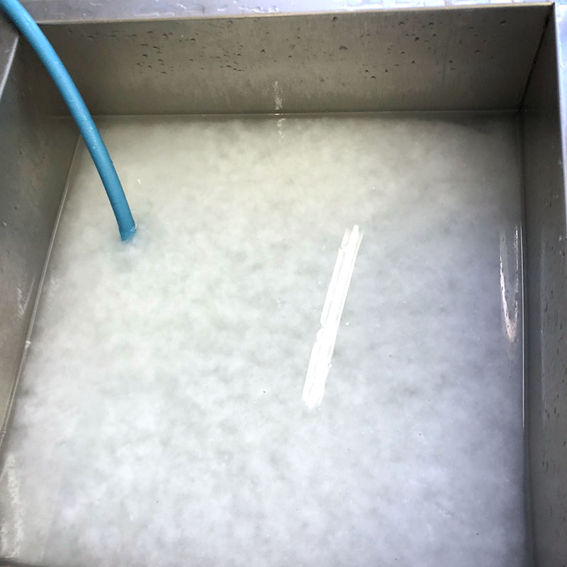 「古紙から花へ」プロジェクト