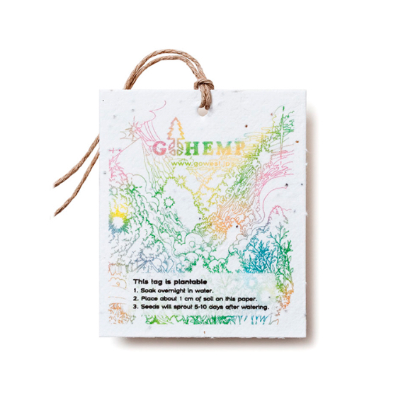 SP-PST（64 x 76mm）