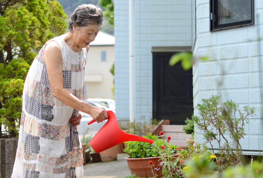 シードペーパーの花を育てている女性