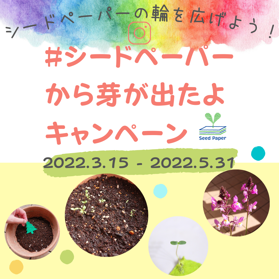 代替テキストを入力してください