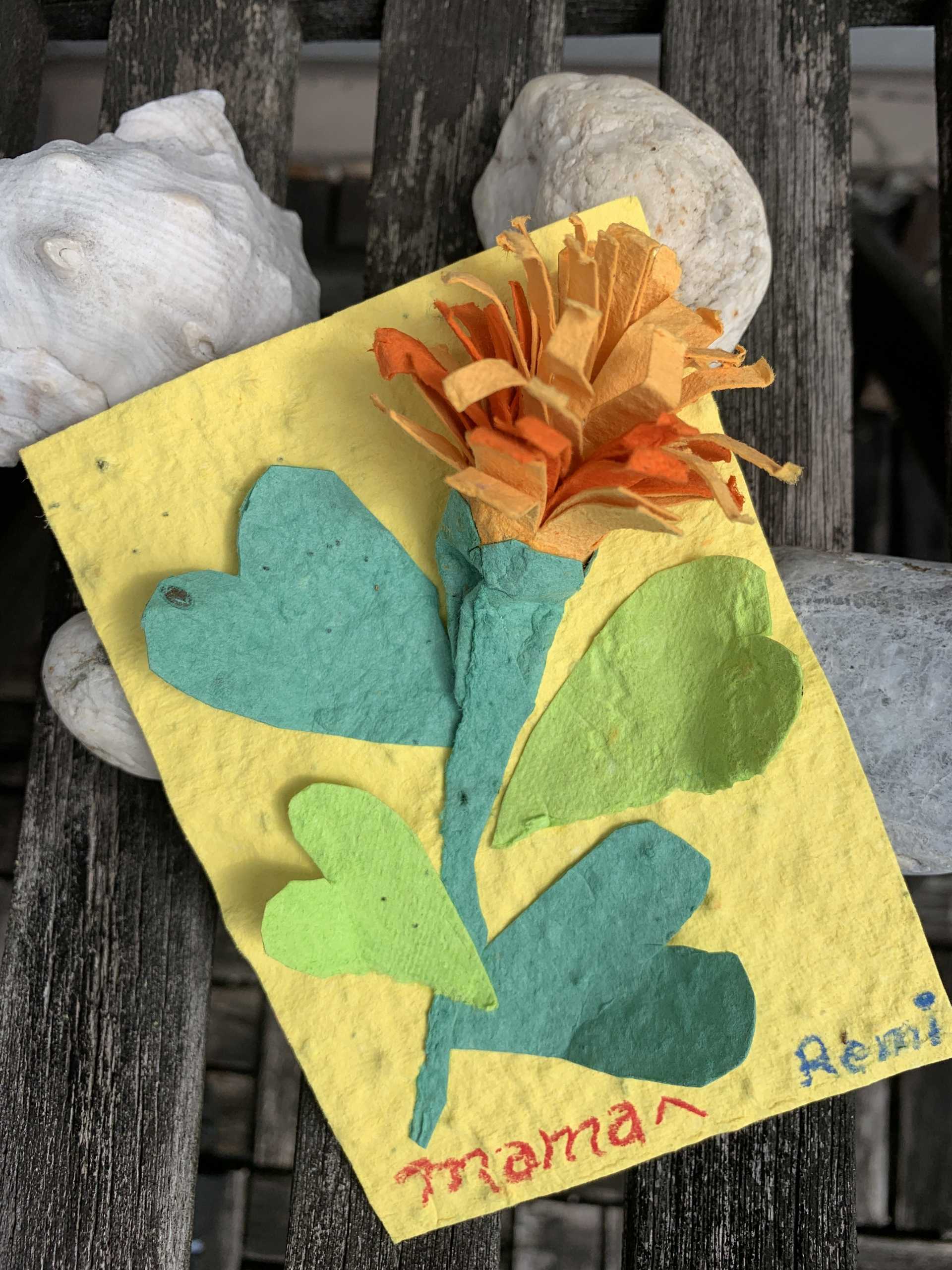 ステモwish Cardワークショップ お花が育つメッセージカードを作ろう お知らせ 花咲く再生紙 シードペーパーで地球育て Seed Paper